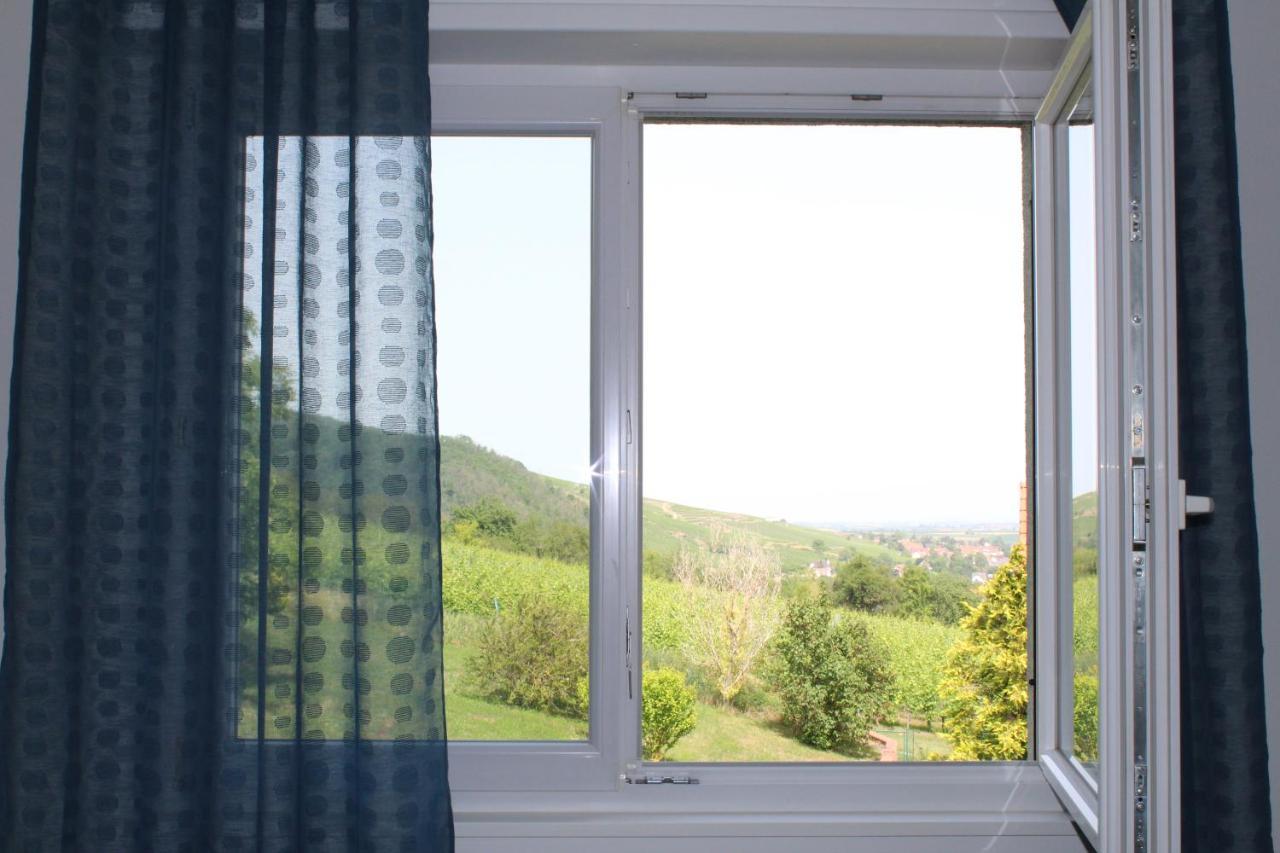 A L'Oree Des Vignes, Superbe Logement De 80 M2 Wangen Ngoại thất bức ảnh